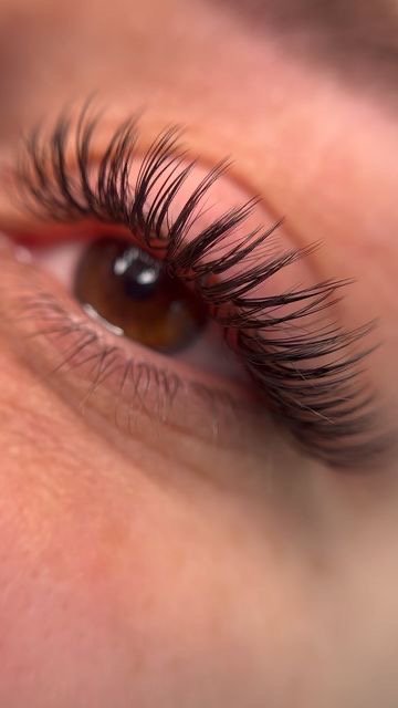 Lash extensions